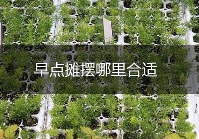 早点摊摆哪里合适