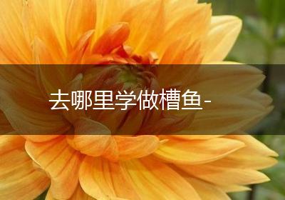 去哪里学做槽鱼-