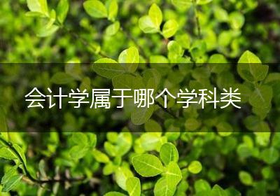 会计学属于哪个学科类
