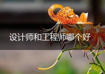 设计师和工程师哪个好