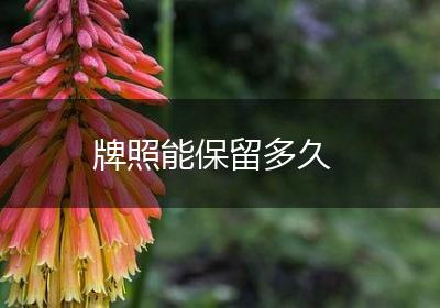 牌照能保留多久