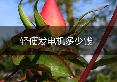 轻便发电机多少钱