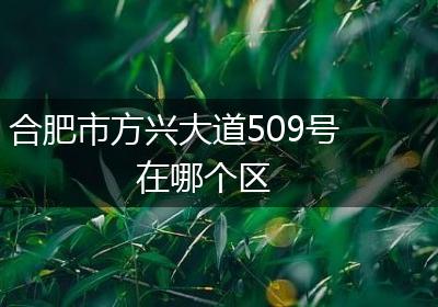 合肥市方兴大道509号在哪个区