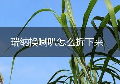 瑞纳换喇叭怎么拆下来