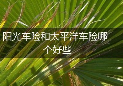阳光车险和太平洋车险哪个好些