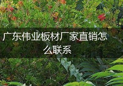 广东伟业板材厂家直销怎么联系