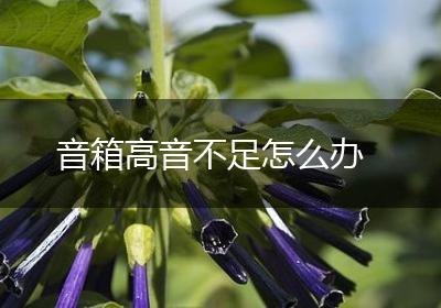 音箱高音不足怎么办