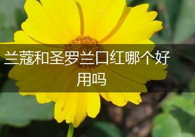 兰蔻和圣罗兰口红哪个好用吗