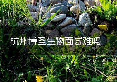杭州博圣生物面试难吗