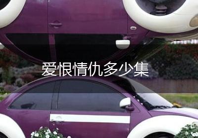爱恨情仇多少集