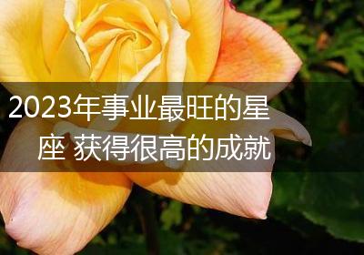 2023年事业最旺的星座 获得很高的成就