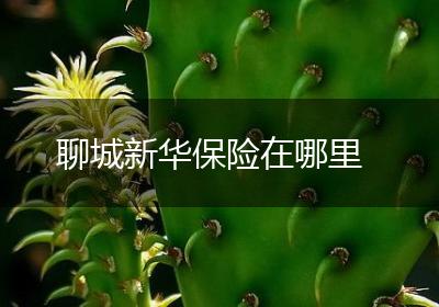 聊城新华保险在哪里