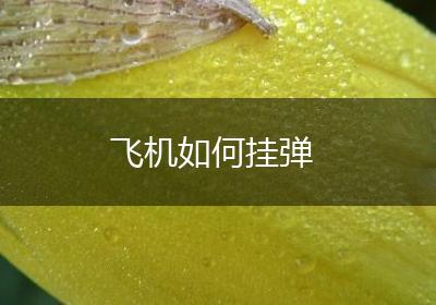 飞机如何挂弹
