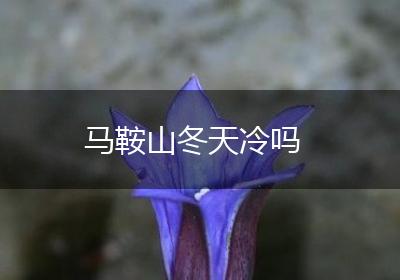 马鞍山冬天冷吗