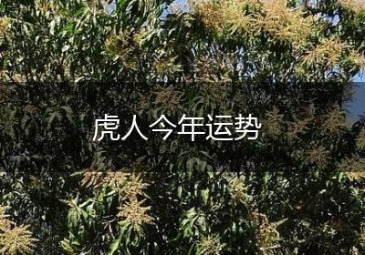 虎人今年运势