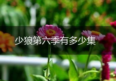 少狼第六季有多少集