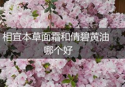 相宜本草面霜和倩碧黄油哪个好