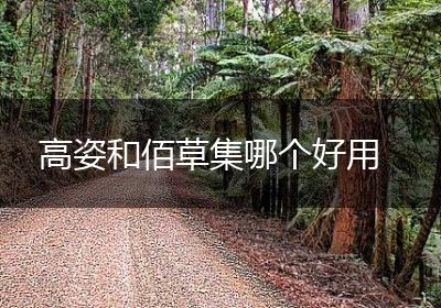 高姿和佰草集哪个好用