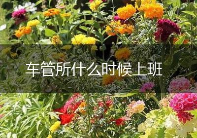 车管所什么时候上班