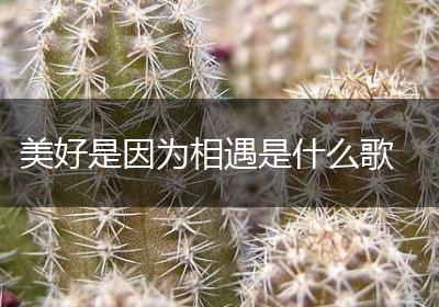 美好是因为相遇是什么歌