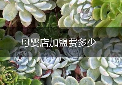 母婴店加盟费多少