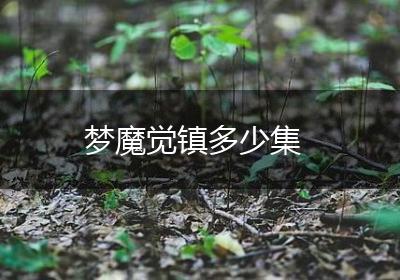 梦魔觉镇多少集