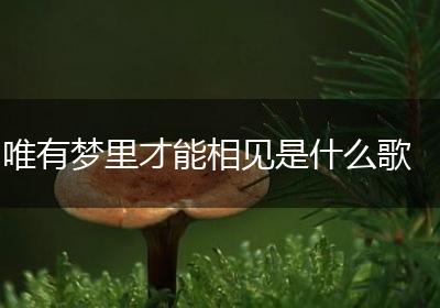 唯有梦里才能相见是什么歌