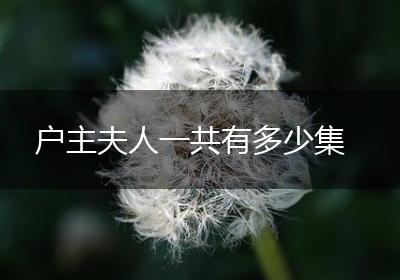 户主夫人一共有多少集