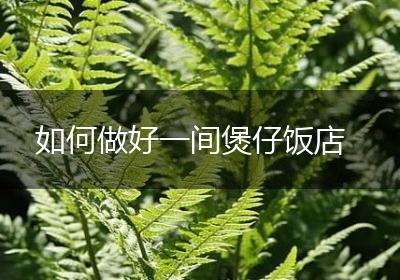 如何做好一间煲仔饭店