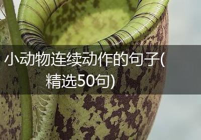 小动物连续动作的句子(精选50句)