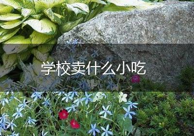 学校卖什么小吃
