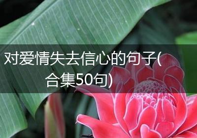对爱情失去信心的句子(合集50句)