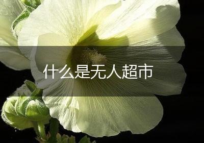 什么是无人超市