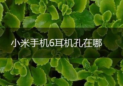 小米手机6耳机孔在哪