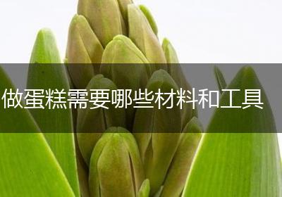 做蛋糕需要哪些材料和工具