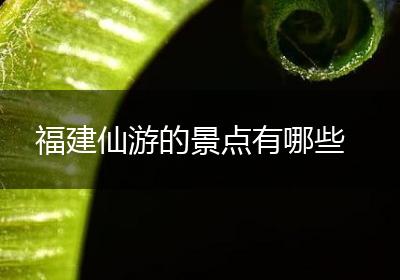 福建仙游的景点有哪些
