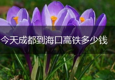 今天成都到海口高铁多少钱