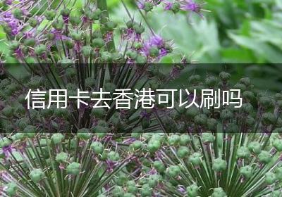 信用卡去香港可以刷吗