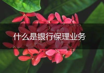 什么是银行保理业务