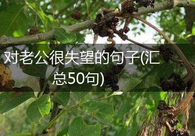 对老公很失望的句子(汇总50句)