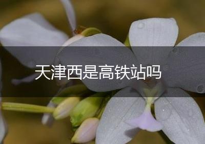 天津西是高铁站吗