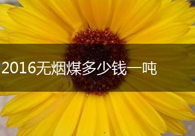 2016无烟煤多少钱一吨