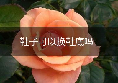鞋子可以换鞋底吗