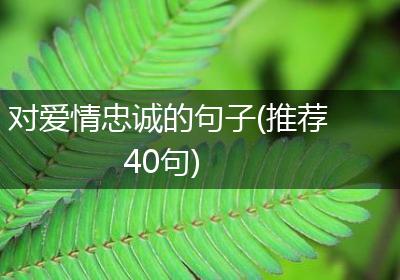 对爱情忠诚的句子(推荐40句)