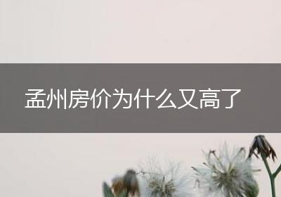 孟州房价为什么又高了