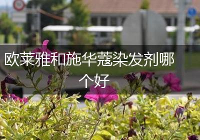 欧莱雅和施华蔻染发剂哪个好