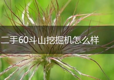 二手60斗山挖掘机怎么样