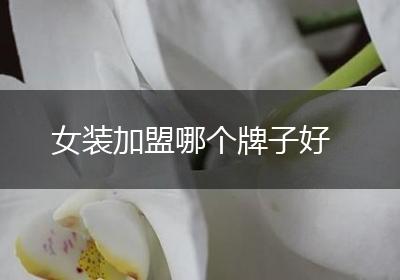 女装加盟哪个牌子好