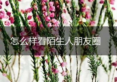 怎么样看陌生人朋友圈