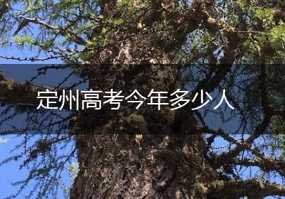 定州高考今年多少人